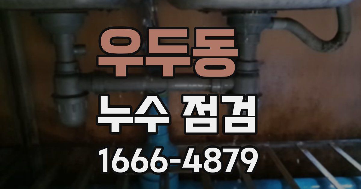 우두동 누수 점검