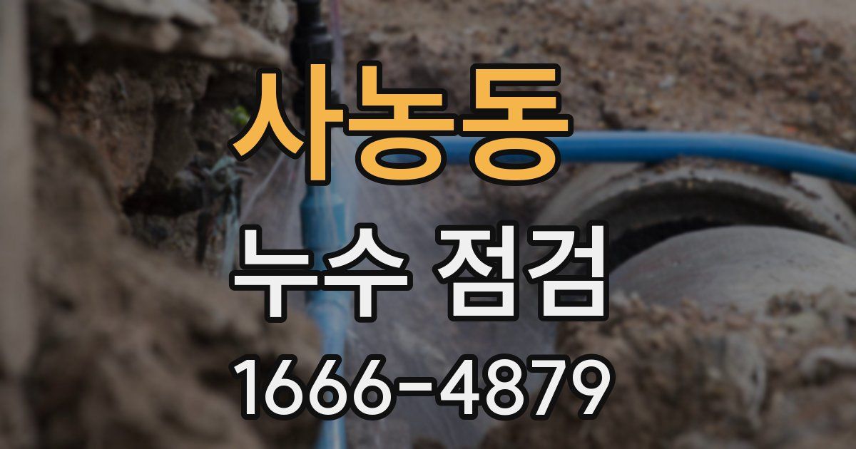 사농동 누수 점검