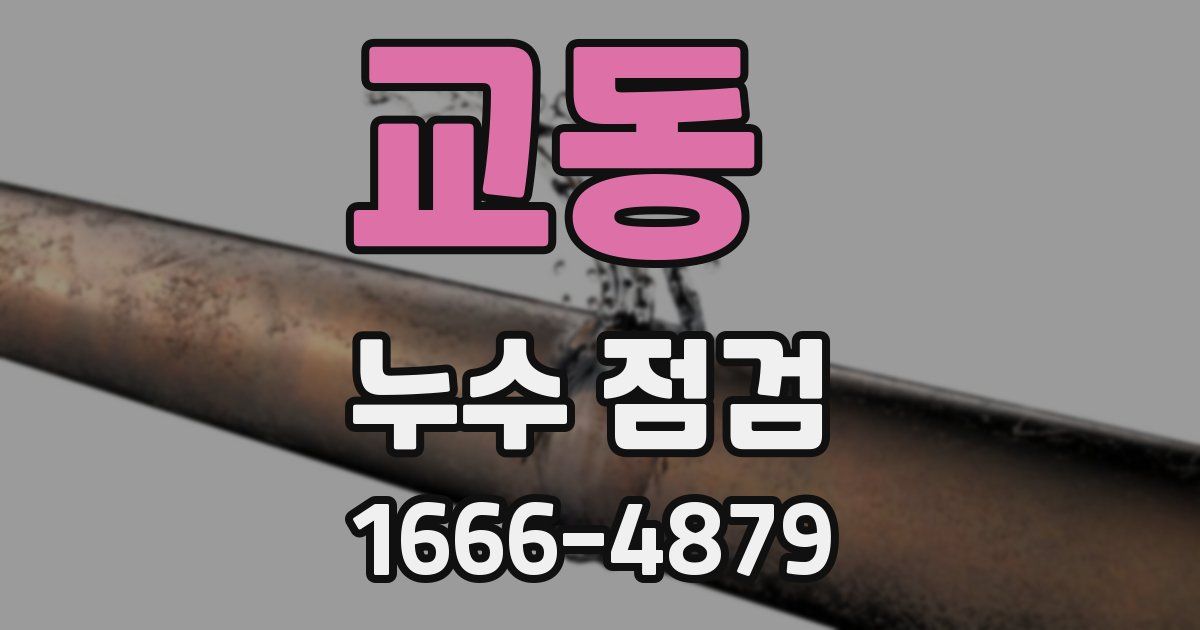 교동 누수 점검