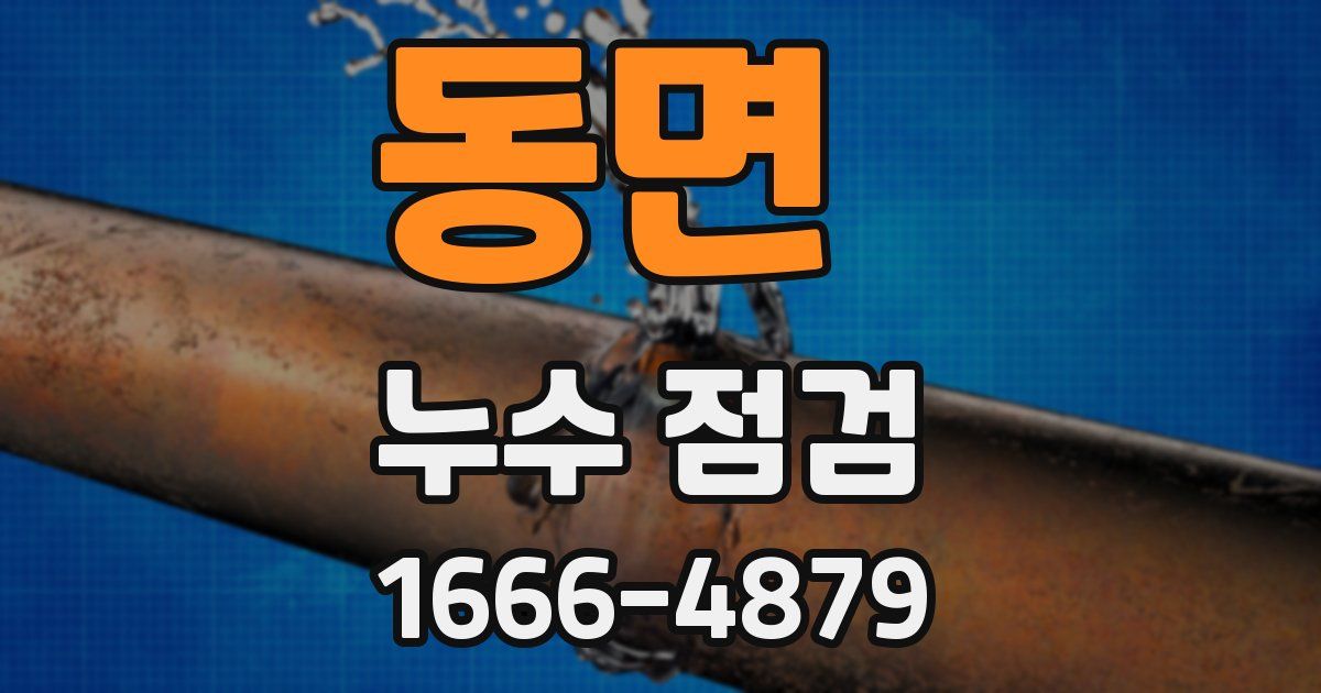 동면 누수 점검