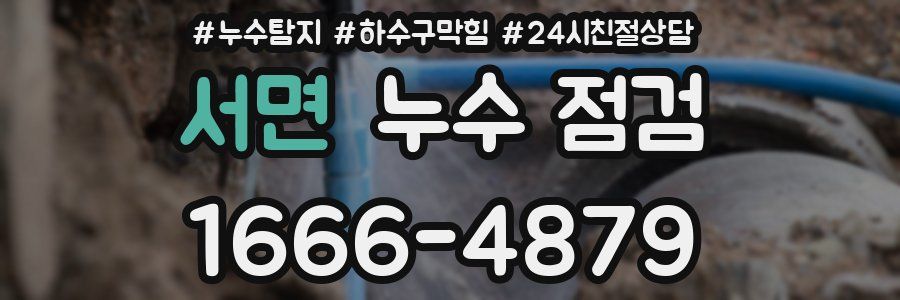 서면 누수 점검