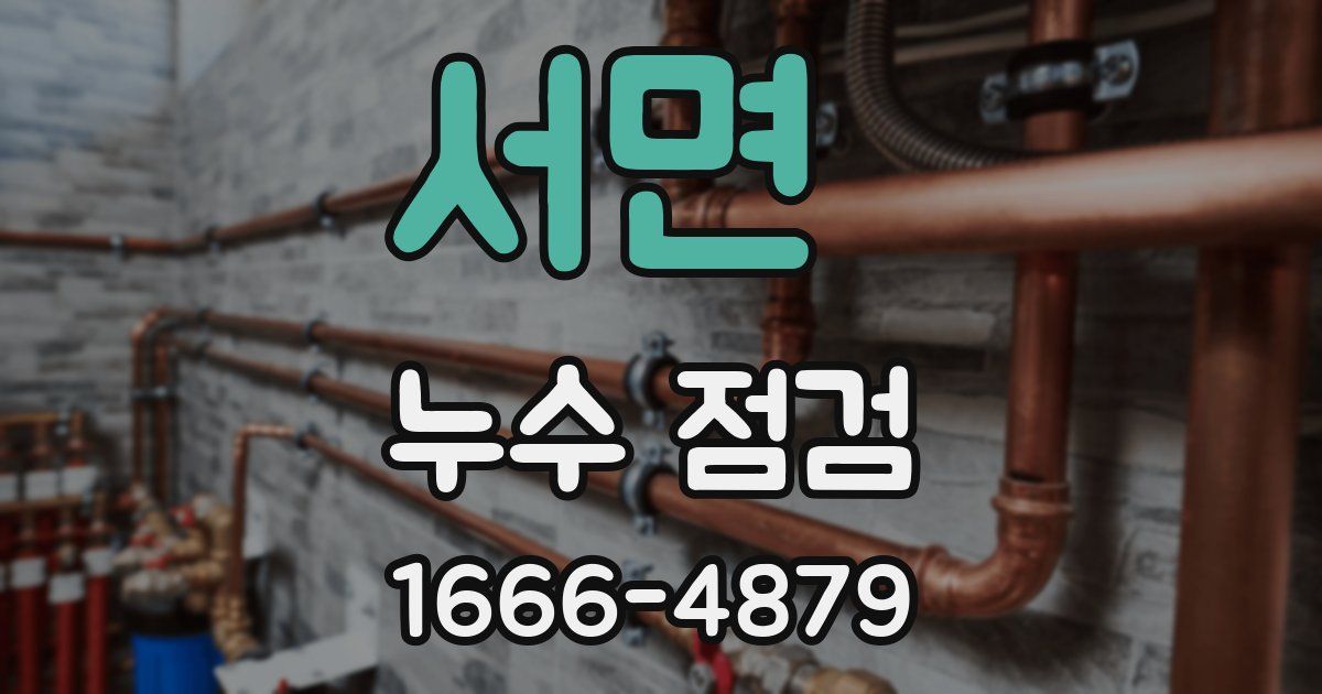서면 누수 점검