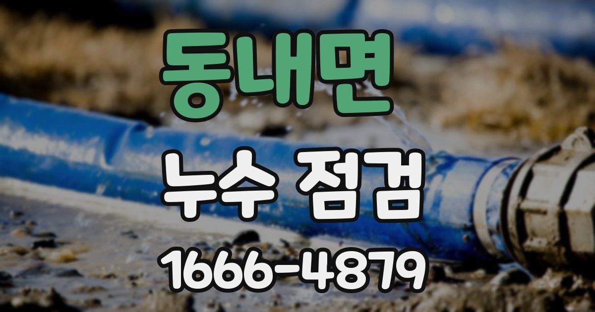 동내면 누수 점검