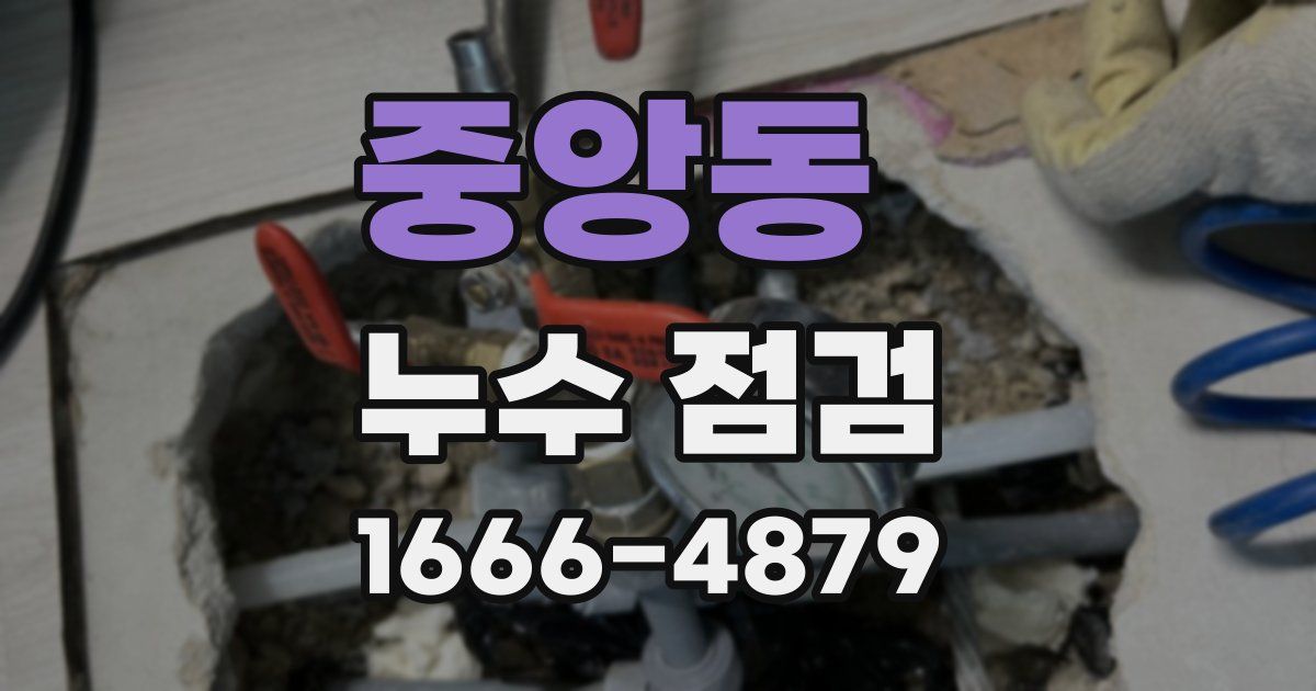 중앙동 누수 점검