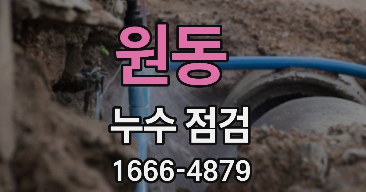 원동 누수 점검