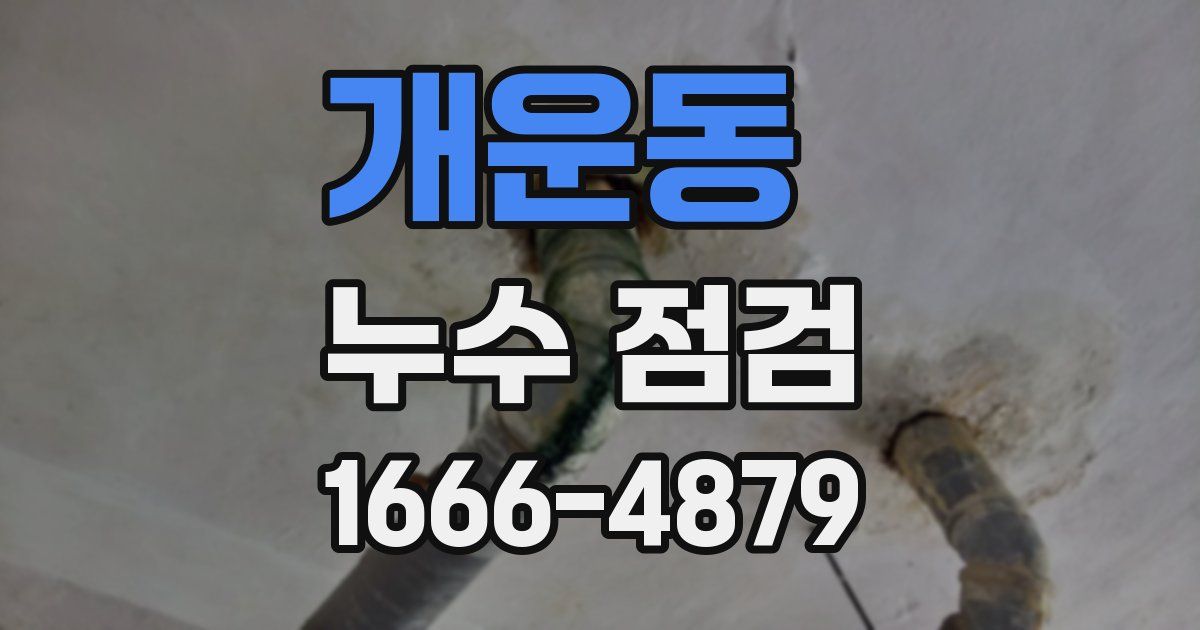 개운동 누수 점검