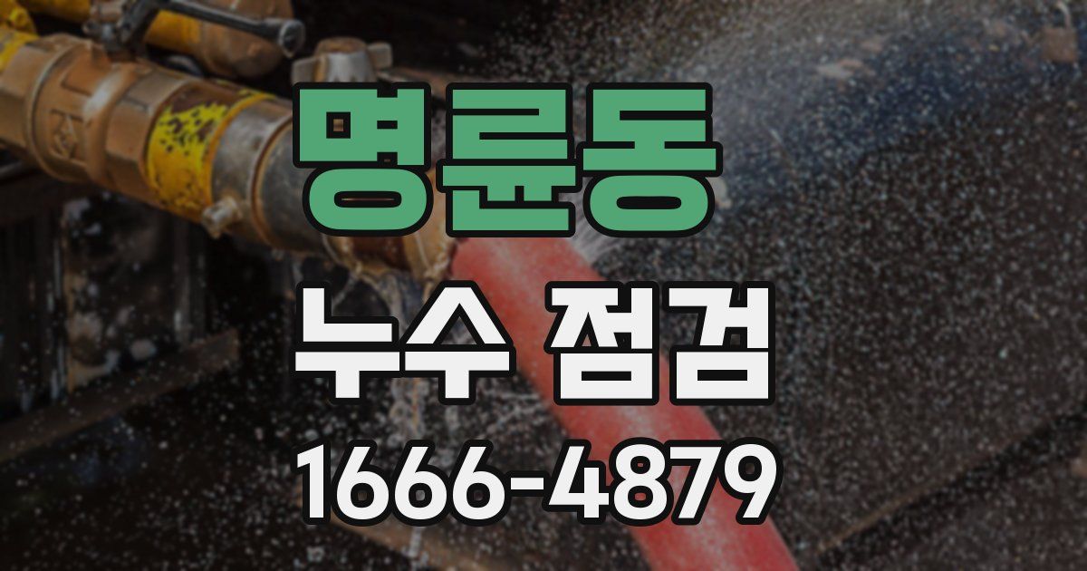 명륜동 누수 점검