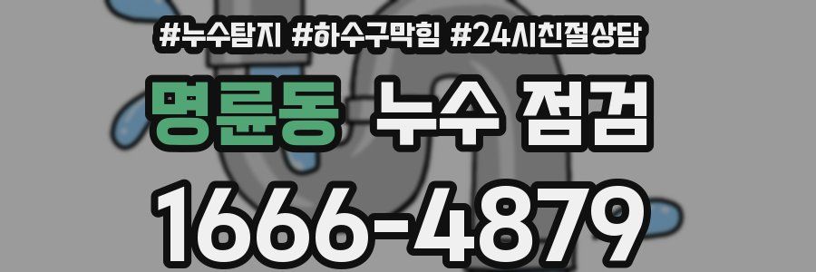 명륜동 누수 점검