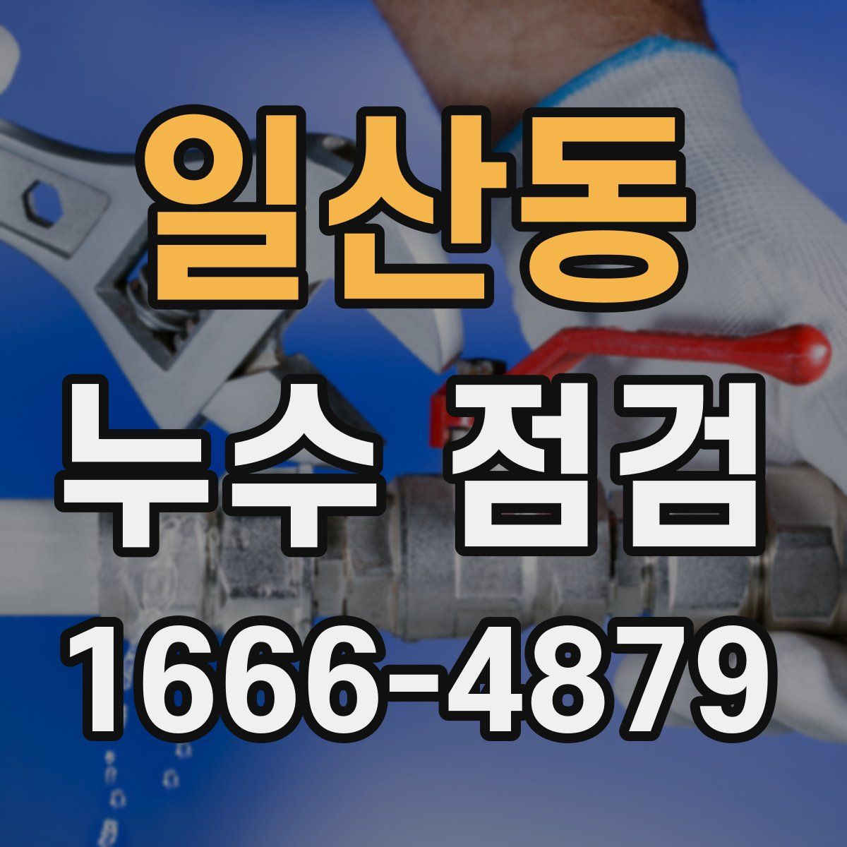 일산동 누수 점검