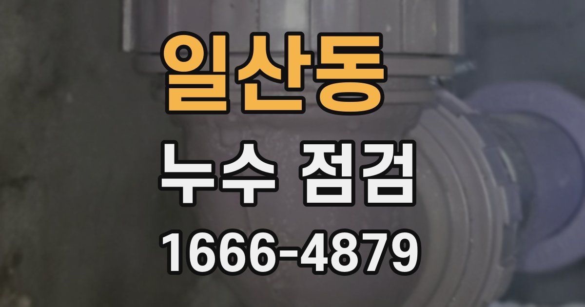 일산동 누수 점검