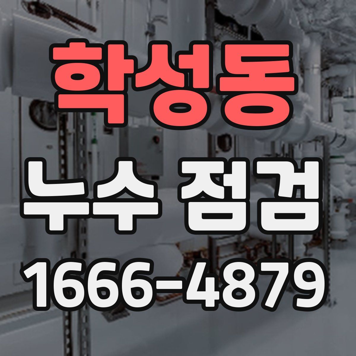 학성동 누수 점검
