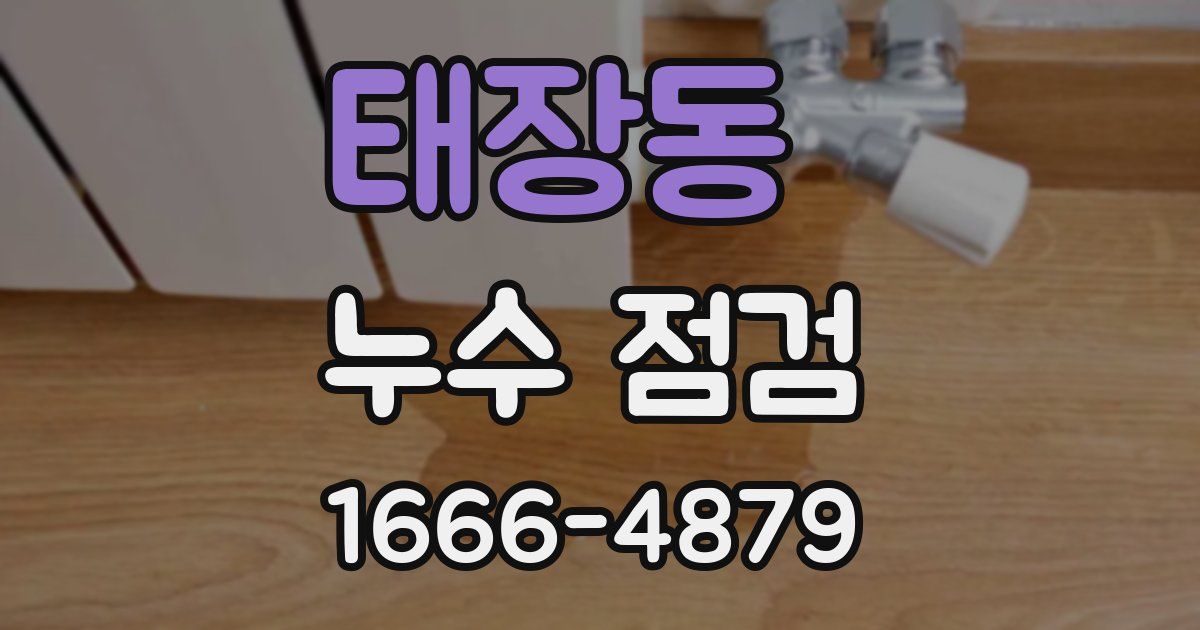 태장동 누수 점검