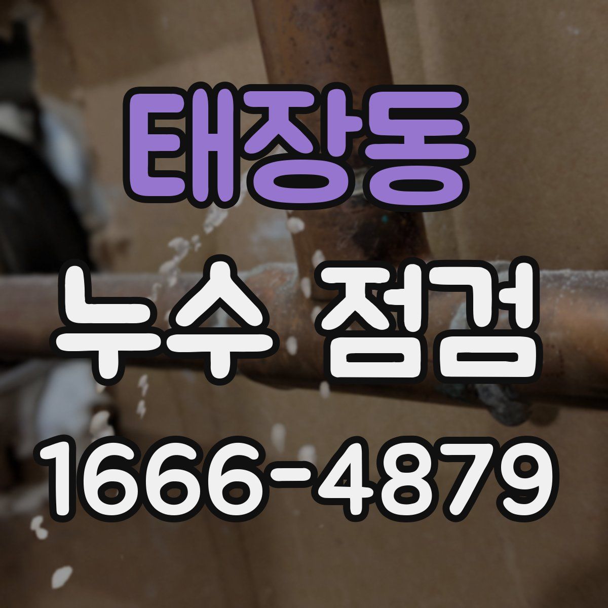 태장동 누수 점검