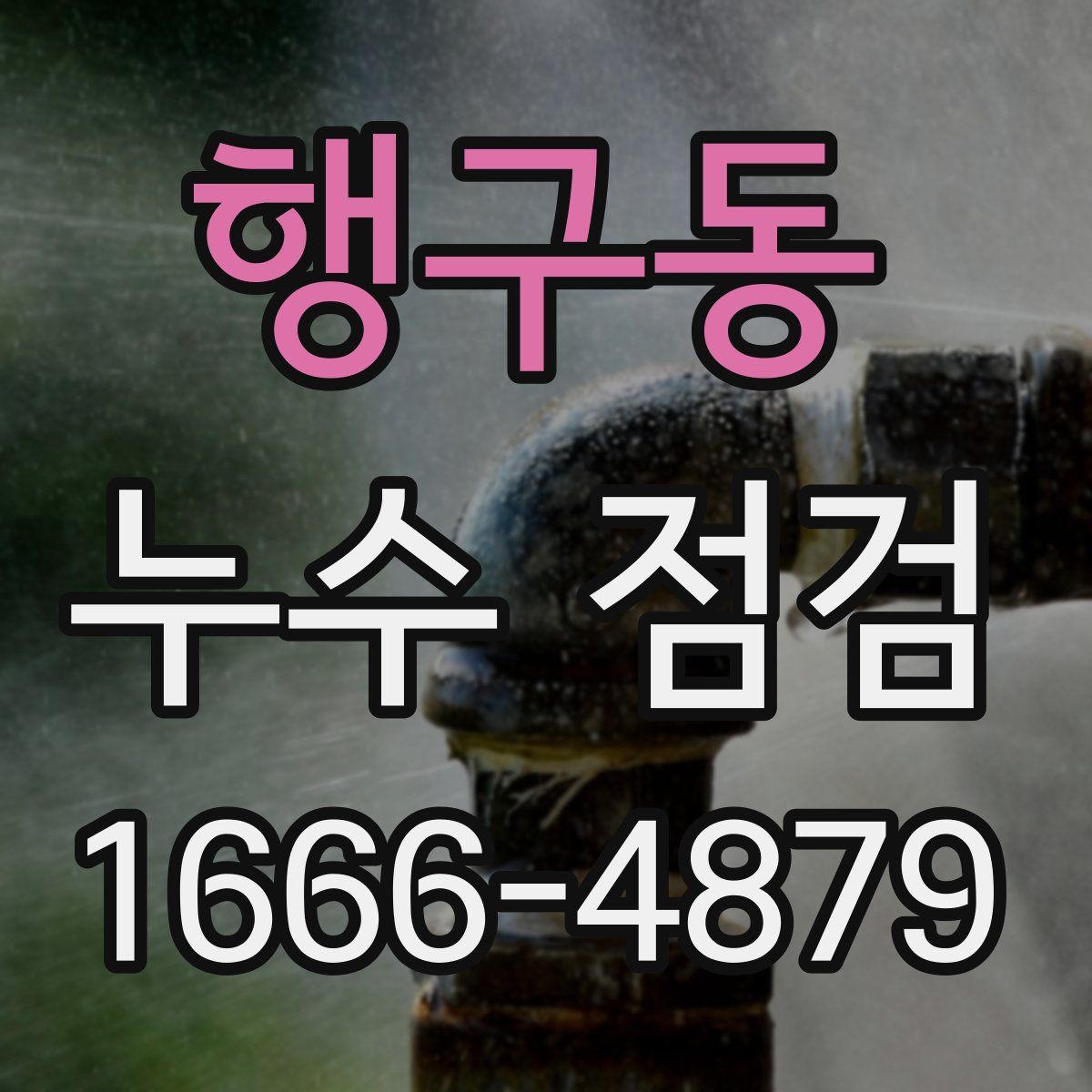 행구동 누수 점검