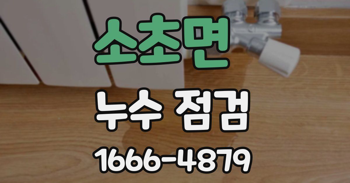 소초면 누수 점검