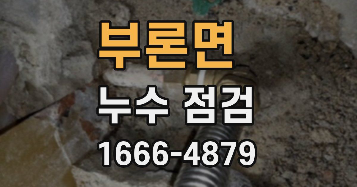 부론면 누수 점검