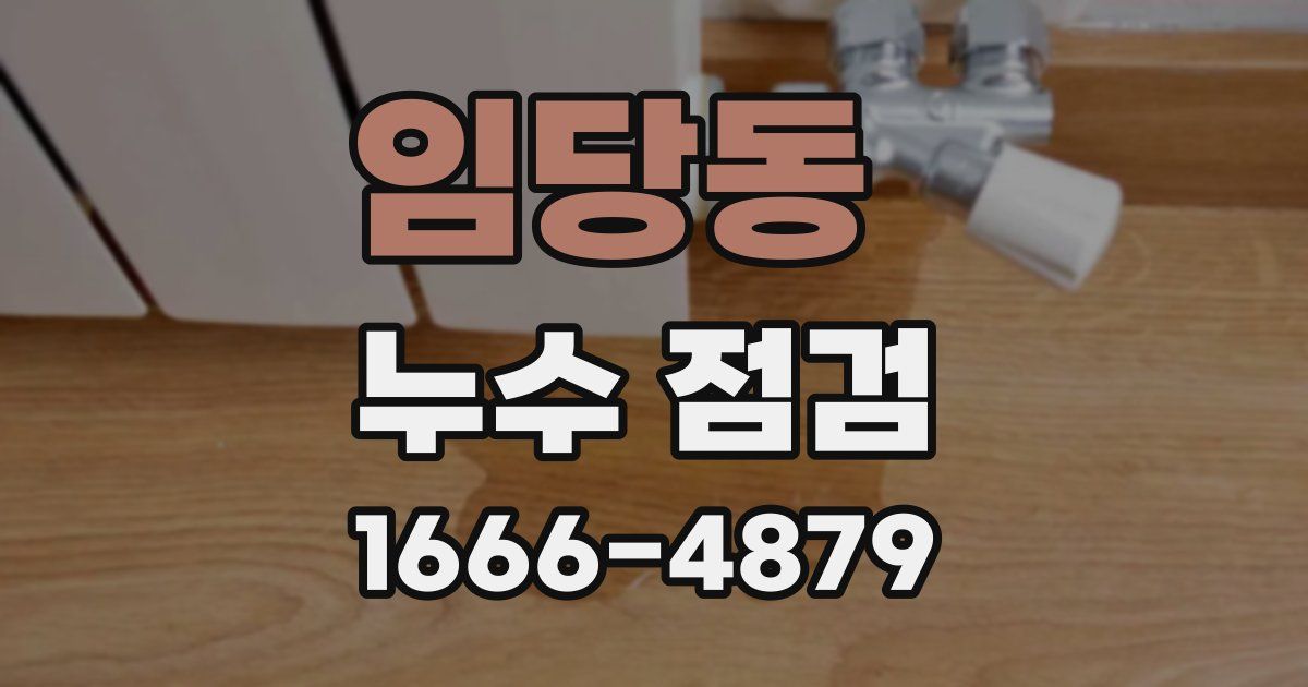 임당동 누수 점검