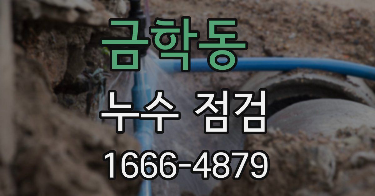 금학동 누수 점검
