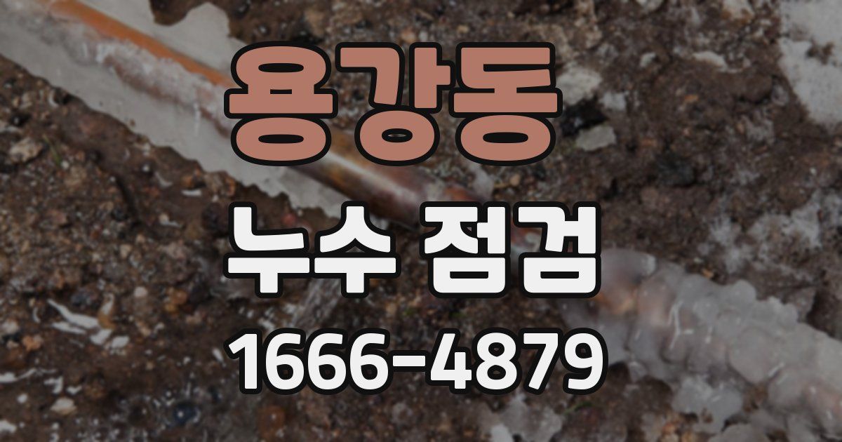 용강동 누수 점검