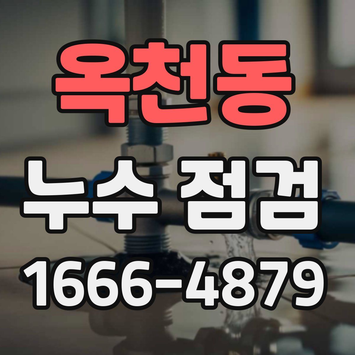 옥천동 누수 점검