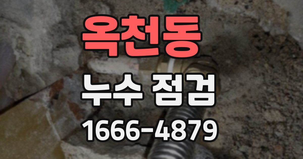 옥천동 누수 점검