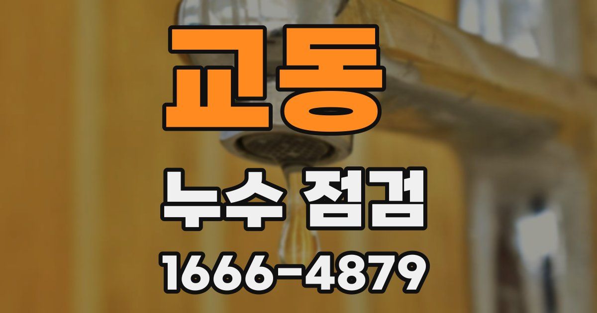 교동 누수 점검