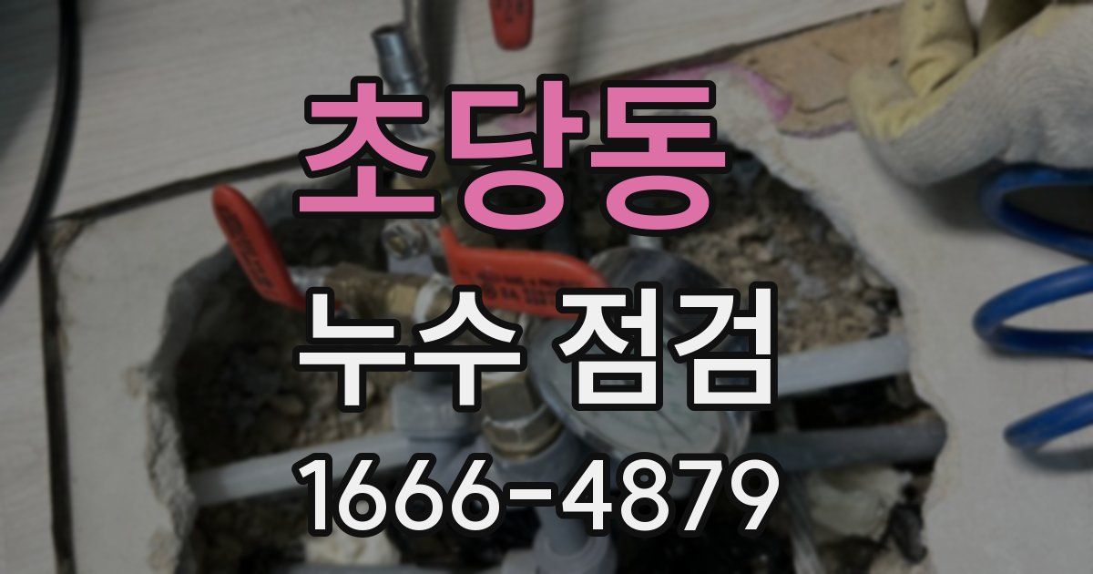초당동 누수 점검