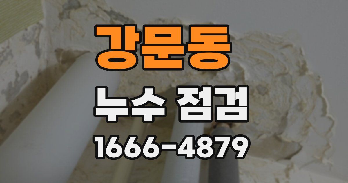 강문동 누수 점검