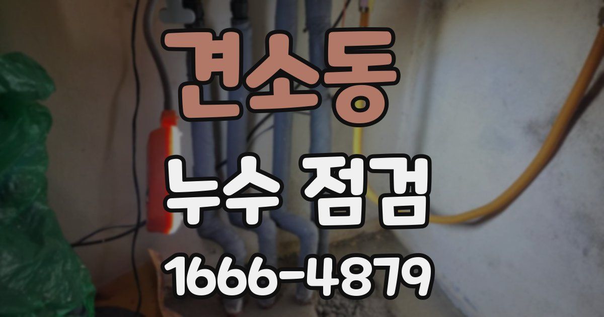 견소동 누수 점검