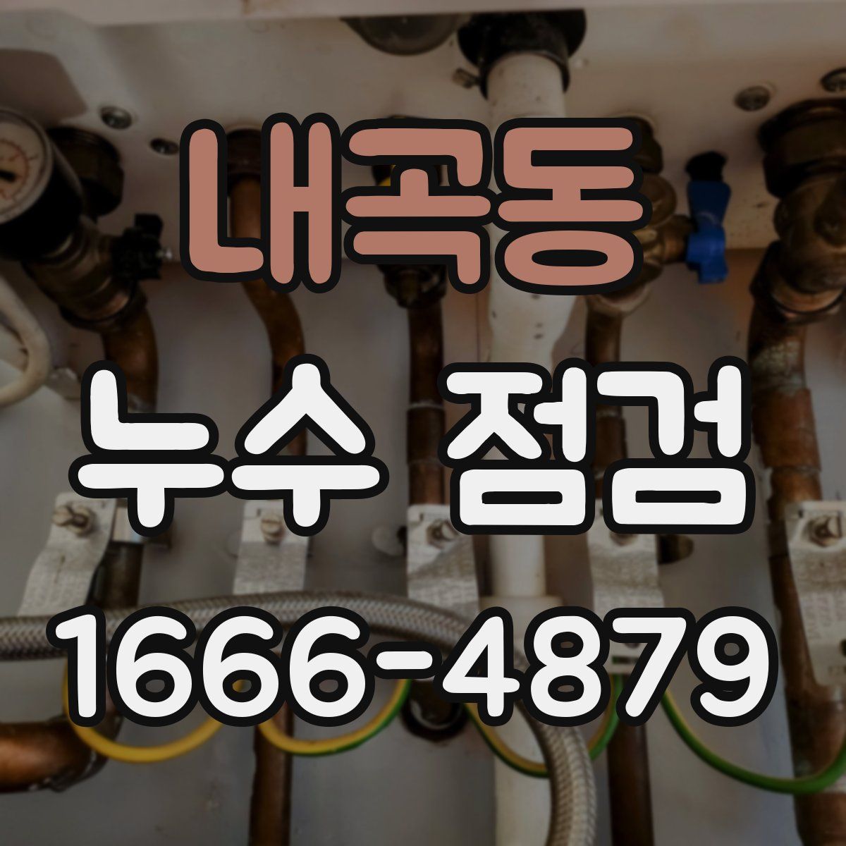 내곡동 누수 점검
