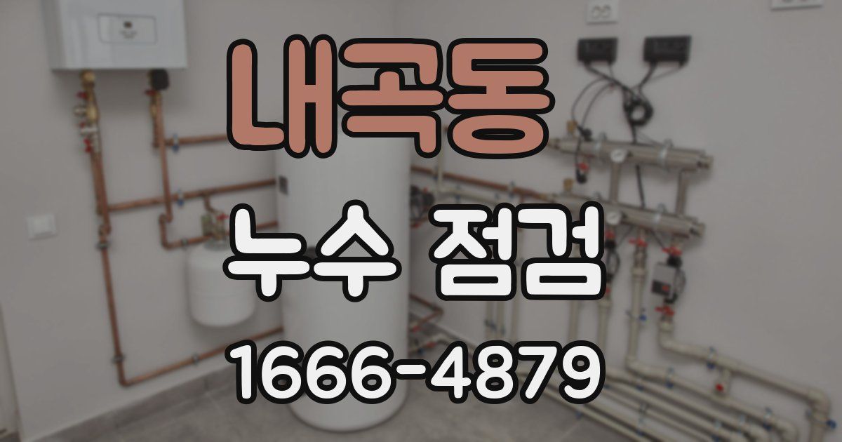 내곡동 누수 점검