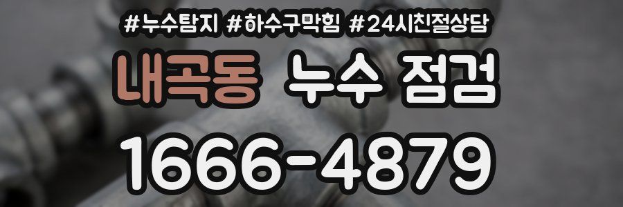 내곡동 누수 점검
