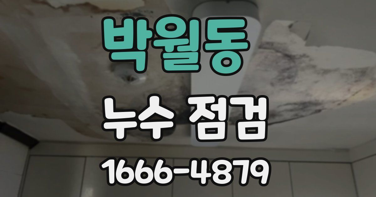 박월동 누수 점검