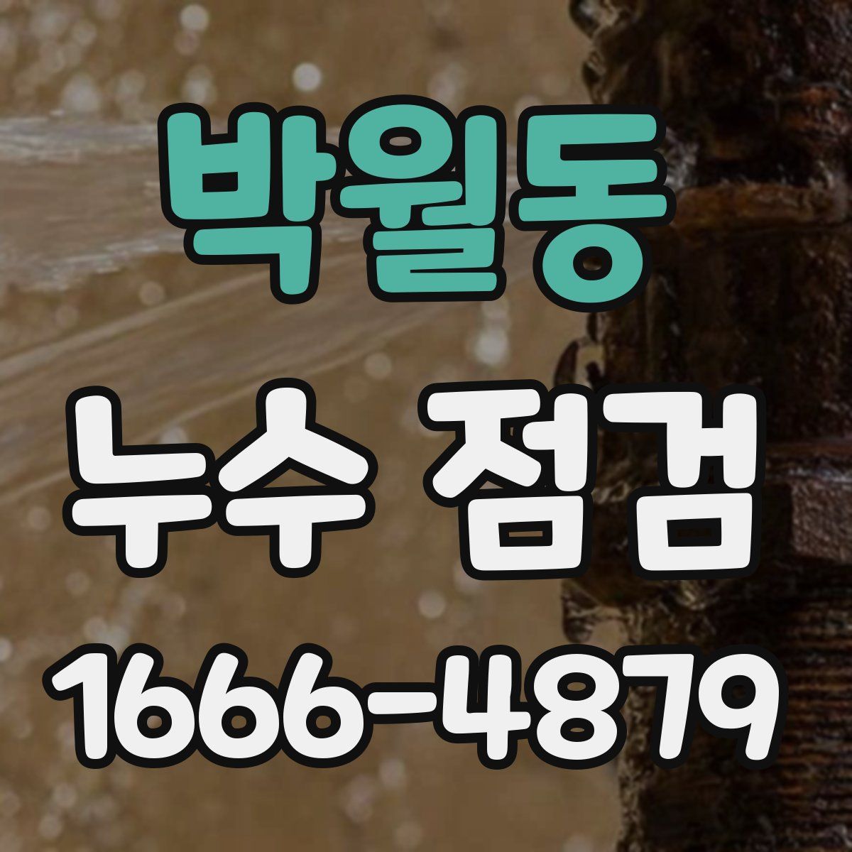 박월동 누수 점검