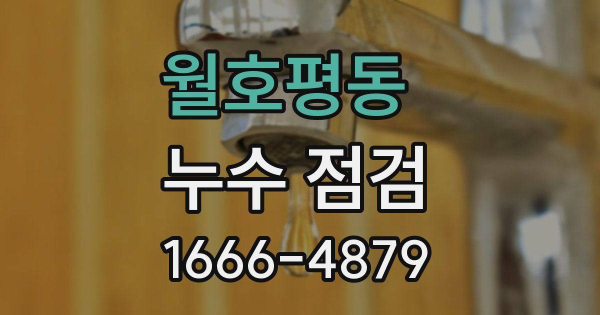 월호평동 누수 점검