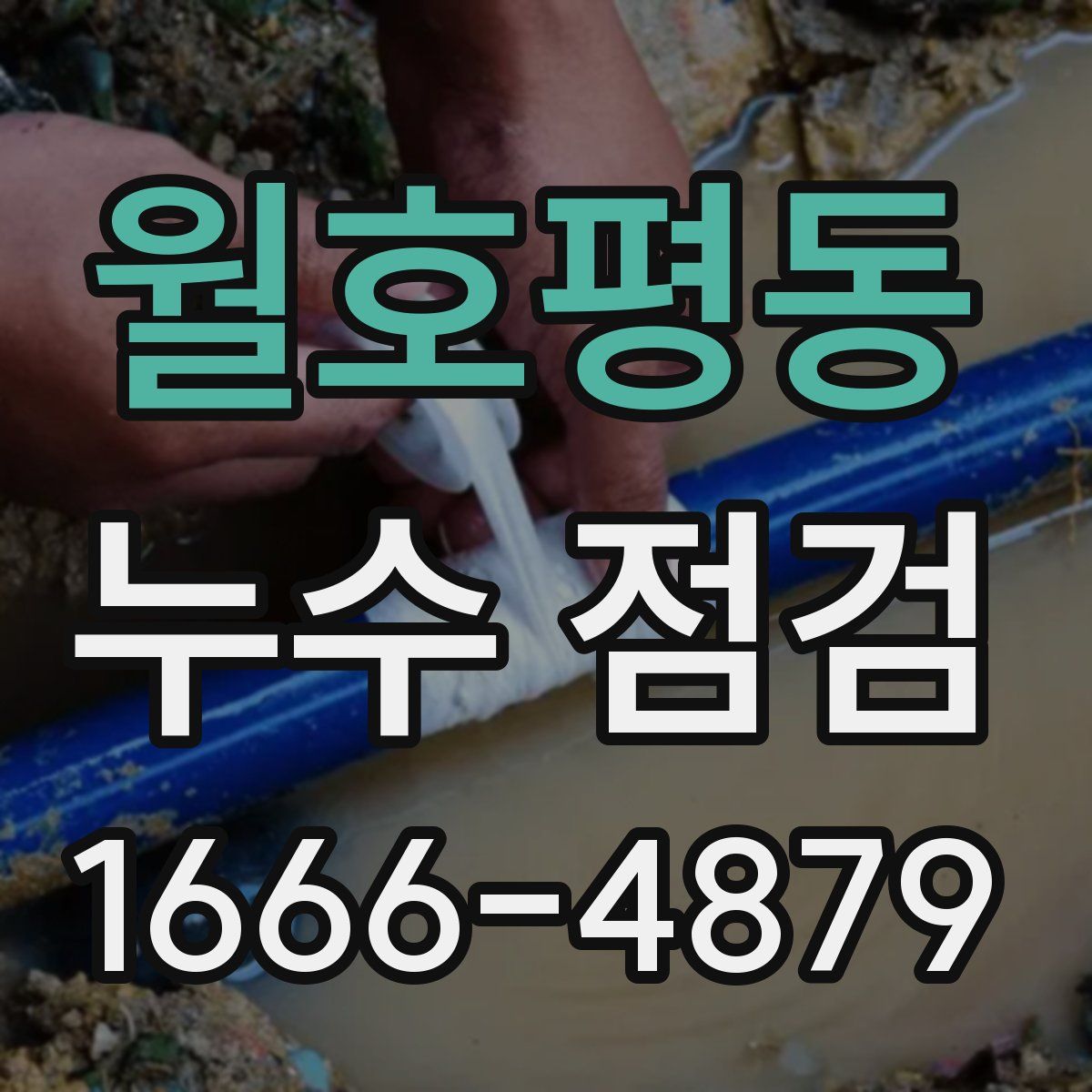 월호평동 누수 점검