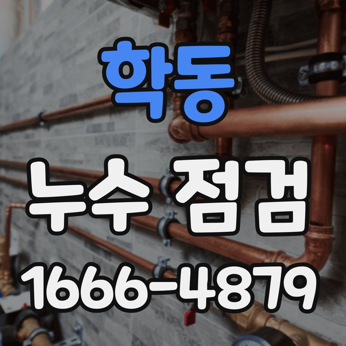 학동 누수 점검