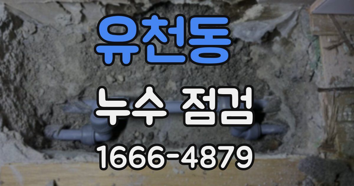 유천동 누수 점검