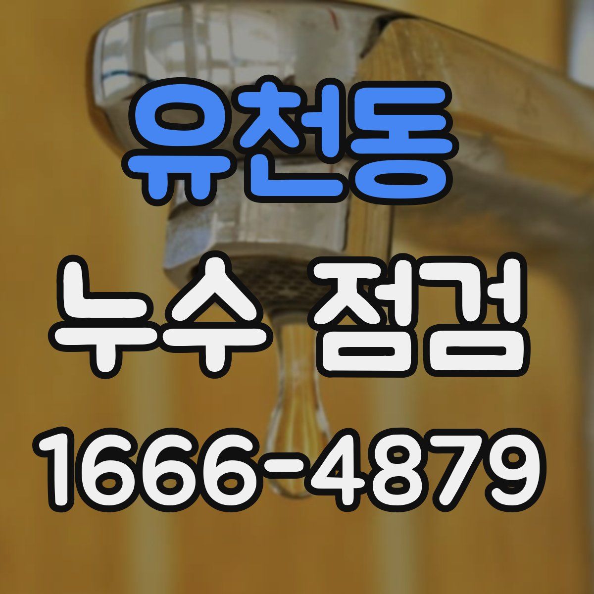 유천동 누수 점검