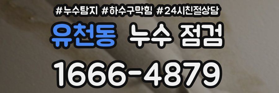 유천동 누수 점검
