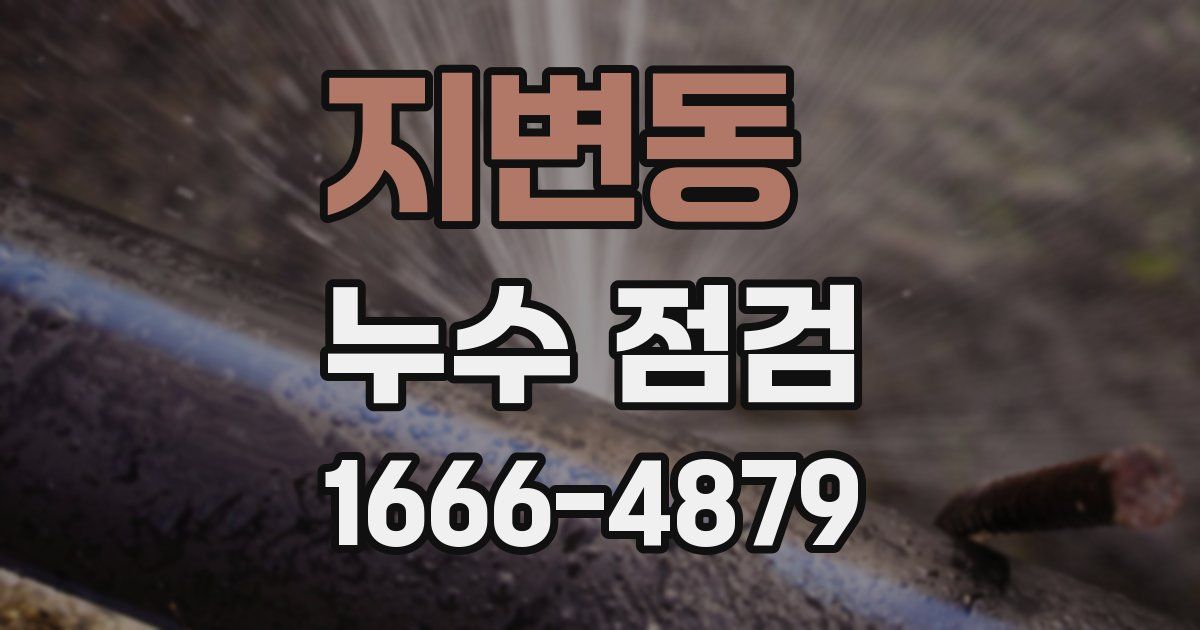 지변동 누수 점검