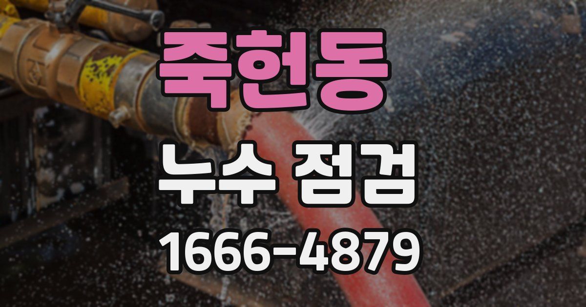 죽헌동 누수 점검