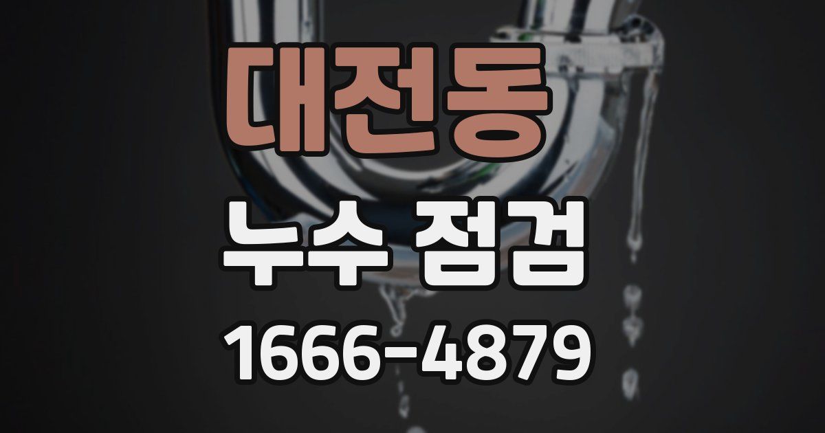 대전동 누수 점검