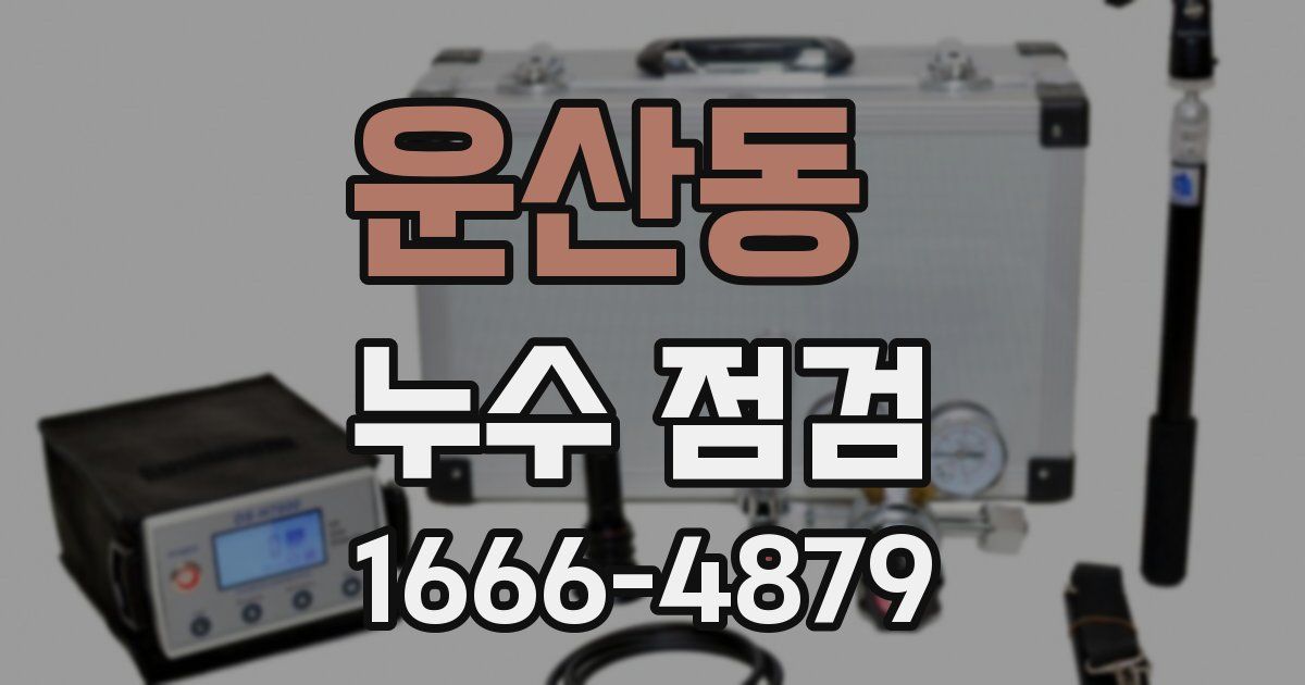 운산동 누수 점검