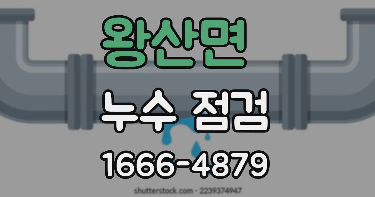 왕산면 누수 점검