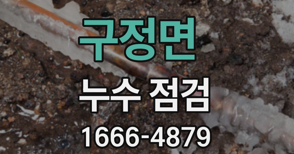 구정면 누수 점검