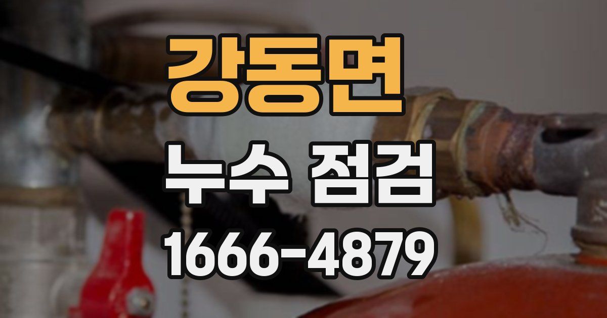 강동면 누수 점검