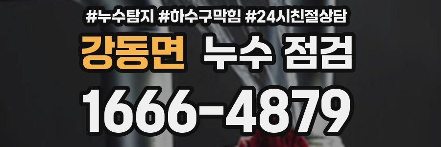 강동면 누수 점검