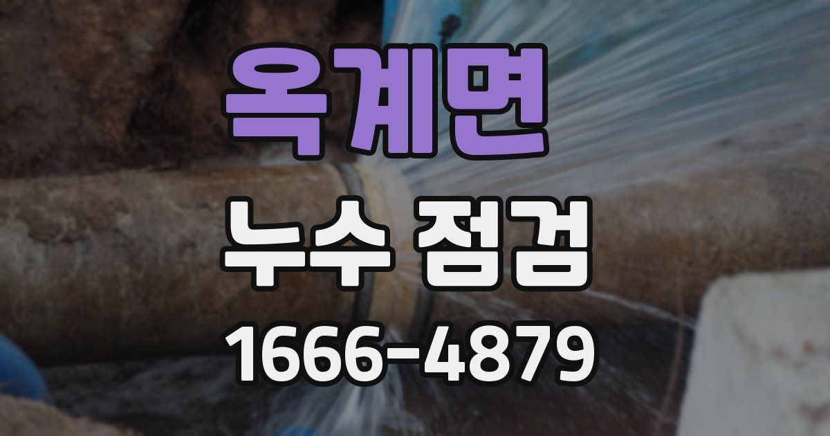 옥계면 누수 점검
