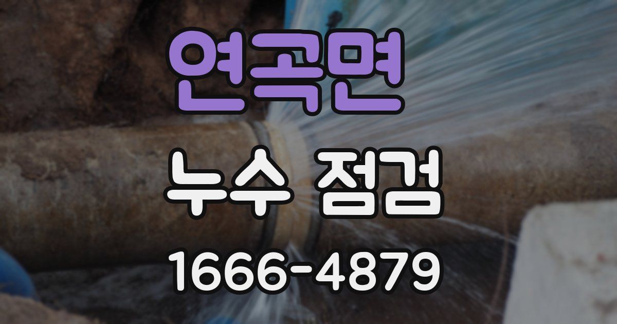연곡면 누수 점검